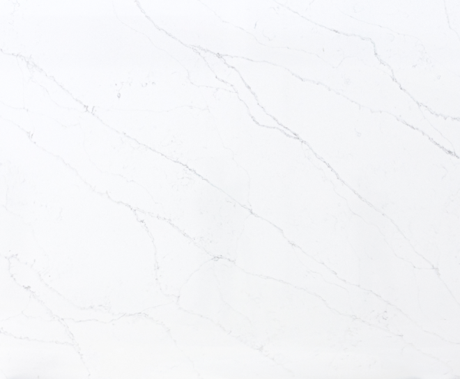 TulipaLite1